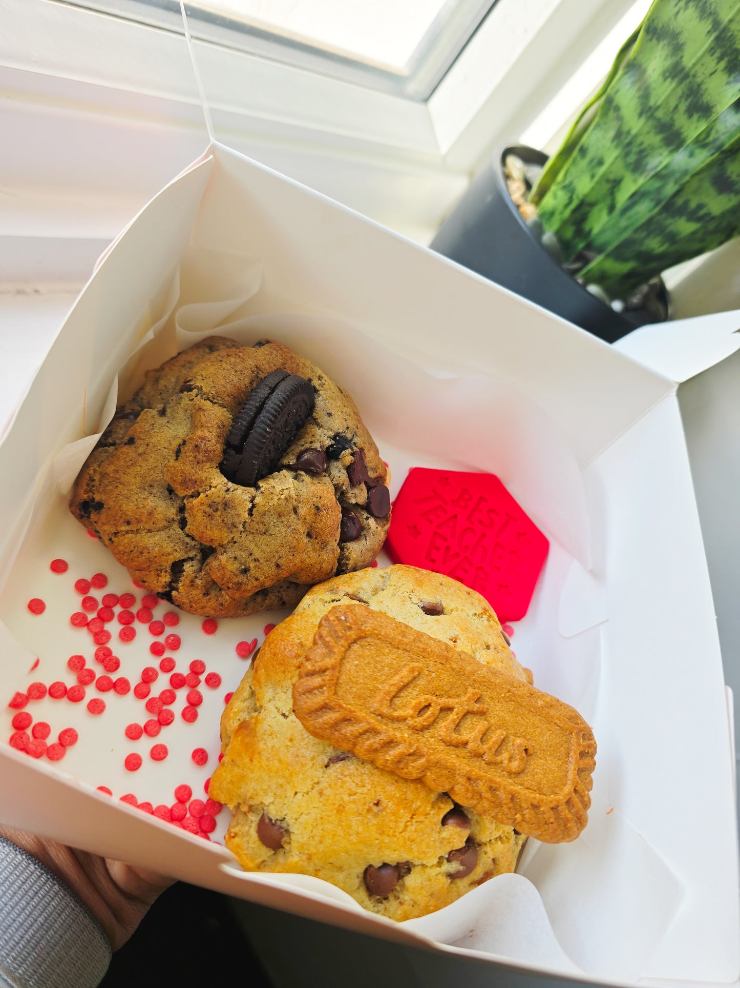 Mini Box New York Cookies Teacher Gift