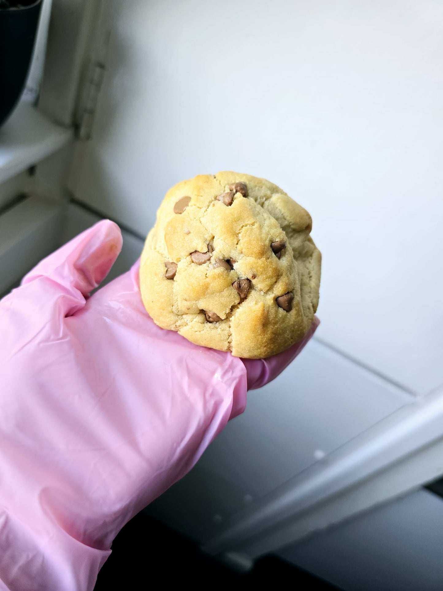 Chocolate Chip New York Cookie