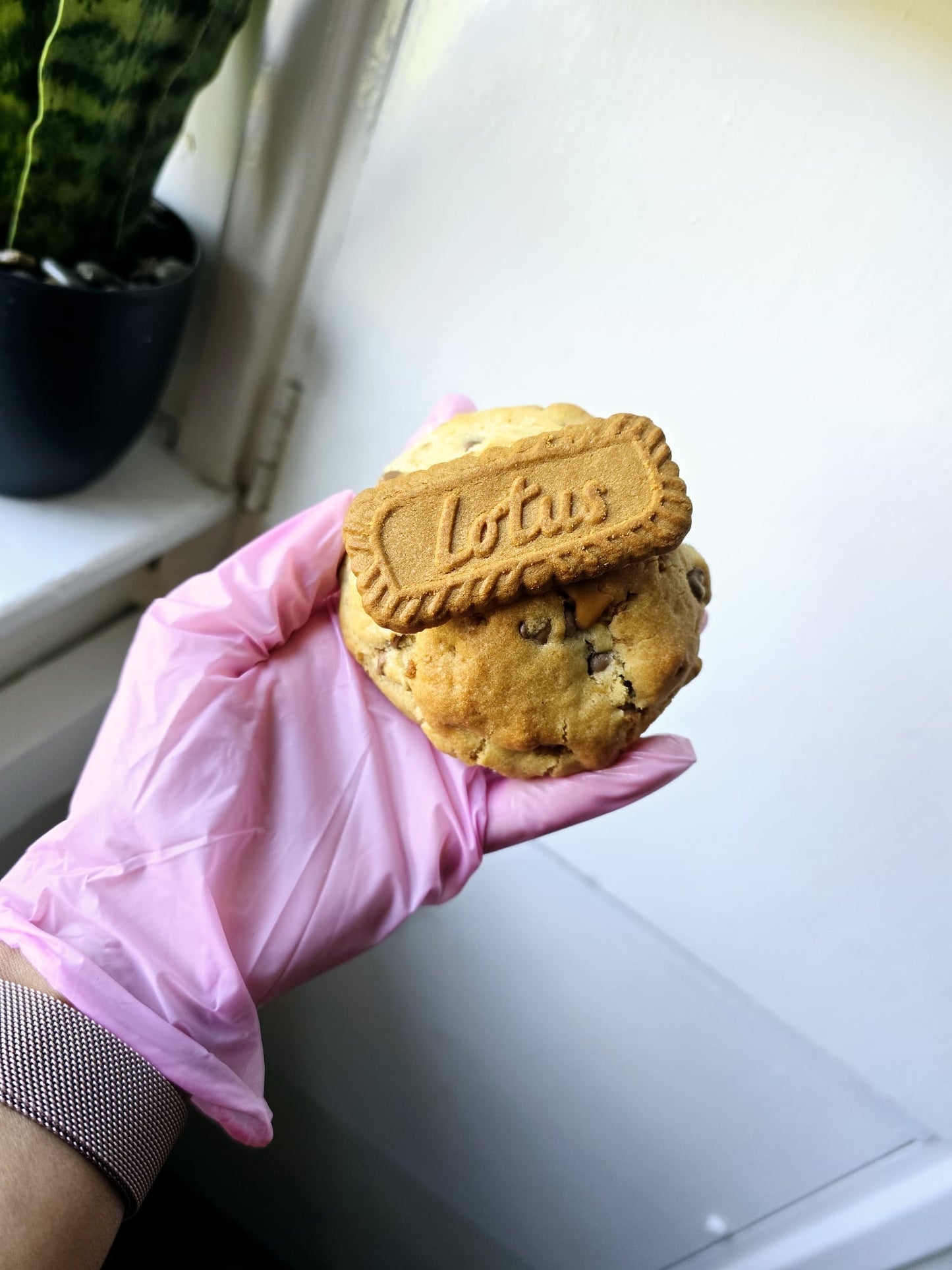 Biscoff New York Cookie